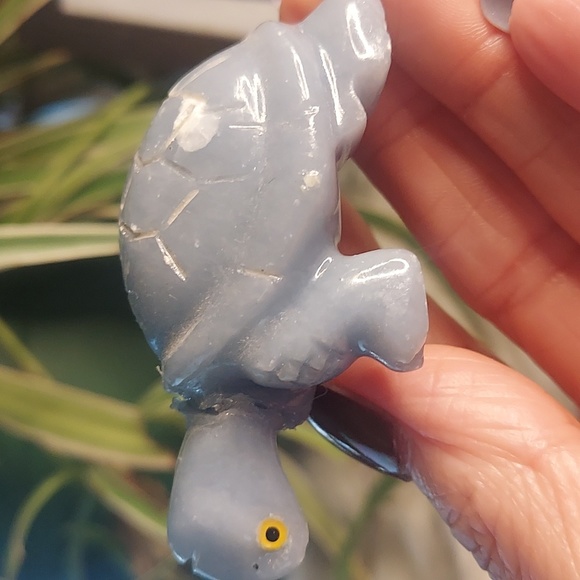 Crystal Angelite Turtle Healing Positive Energy Metaphysical Properties - Picture 2 of 3